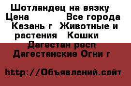 Шотландец на вязку › Цена ­ 1 000 - Все города, Казань г. Животные и растения » Кошки   . Дагестан респ.,Дагестанские Огни г.